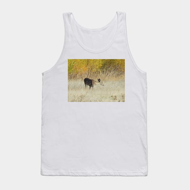 Mule deer, doe, wildlife, gifts, Serene Moment Tank Top by sandyo2ly